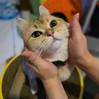 Tau Pok (@yourmomplz) 's Twitter Profile Photo Tau Pok (@yourmomplz) 's Twitter Profile Photo