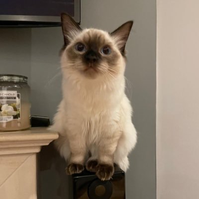 workbridge15's profile picture. 