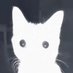 nilris (@nilrip1) Twitter profile photo nilris (@nilrip1) Twitter profile photo