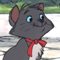 ぴぴ (@pipi_hntaym) 's Twitter Profile