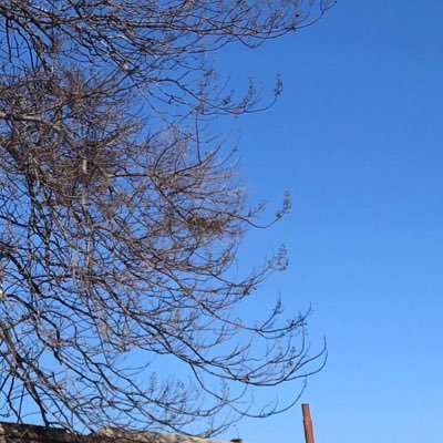 jingcheng24cm's profile picture. 19岁-24cm 在校大学生，随便玩玩