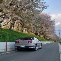 ZENT (@n5tov8vtyhdefb0) 's Twitter Profile