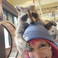 π€π¦π€π¦ππ¬π¦π π (@_gigiboia) 's Twitter Profile