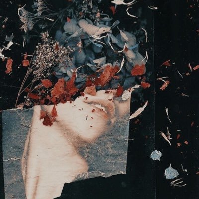 xllznk's profile picture. @kmi_1127 @zsn0_ @pnck_key