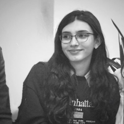 VTonakanian's profile picture. IR student at @gipaofficial;)