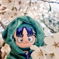파인 (@7_pine_tree) 's Twitter Profile
