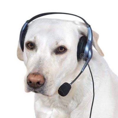 Kraknz0's profile picture. 