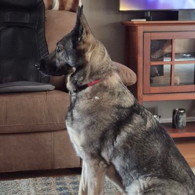 UtahNavyVet's profile picture. MAGA US Navy Veteran. Pro 2nd amendment, pro first responders and patriotic to the core.  Instagram @VelvetRed300C