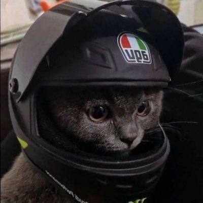 NlKOSS's profile picture. 