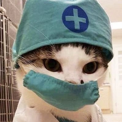 studythiaggo's profile picture. vestibulando de medicina 💐