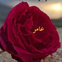 عامر بن سعيد الغافري (@amer_alghafri_) Twitter profile photo
