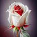 المسامح كريم 18S312 @ (@18s312) Twitter profile photo المسامح كريم 18S312 @ (@18s312) Twitter profile photo