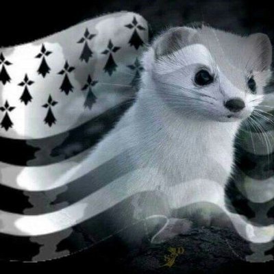 La France est belle à travers ses régions! Notre patrimoine culturel doit être conservé,notre liberté en dépend!
〓〓 🇫🇷
#44BZH #PatriotesFrance #JeSuisNicolas
