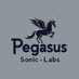 Pegasus Sonic Labs (@sonic_pegasus) Twitter profile photo Pegasus Sonic Labs (@sonic_pegasus) Twitter profile photo