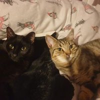 juliette (@juliette0307) 's Twitter Profile Photo juliette (@juliette0307) 's Twitter Profile Photo