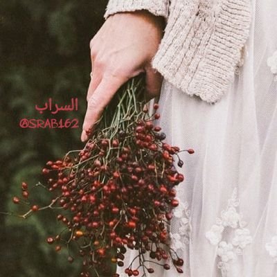 saU1ra03020's profile picture. انتهت مراسيم الأعتذار عن الجميع
الآن آن لنا أن نعتذر، لا لإحدٍ
بل لأنفسنا