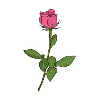 涼🌹 (@mmdtlove) 's Twitter Profile