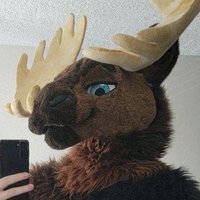✨️ 👣Canadian Bigfoot 👣✨️ (@bonafidemoose) 's Twitter Profile Photo ✨️ 👣Canadian Bigfoot 👣✨️ (@bonafidemoose) 's Twitter Profile Photo