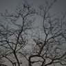 ixz1235's profile picture. no