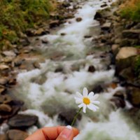 ساميه الفرساني🎼🇸🇦 (@samiaalfarsani) Twitter profile photo