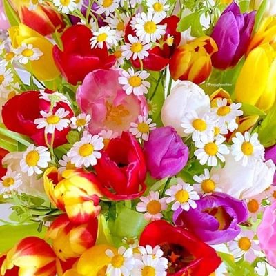 zwxaf2's profile picture. إذا ابتسم المهزوم، فإنه سيفقد متعة الفوز.