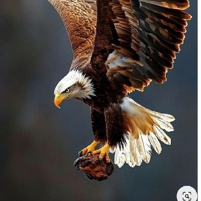 Blessed_BLD's profile picture. 🚬💨