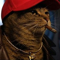 Katpxss Everdeen (@shadowcatverse) 's Twitter Profile