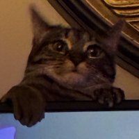 no (@2namemindframe) 's Twitter Profile Photo no (@2namemindframe) 's Twitter Profile Photo
