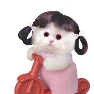 bariuadpauline's profile picture. the very tired girl ・ω-)～