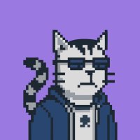 Lumen (@lumen0x) 's Twitter Profile
