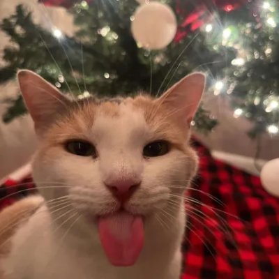 Why do they call it oven when you of in the cold food of out hot eat the food?
https://t.co/FpG8cz5xeL
https://t.co/DVypDCUfog