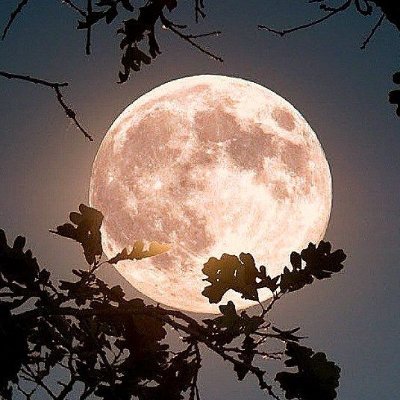 i_MgOoD's profile picture.