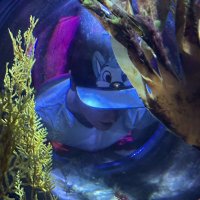 Mr Soggy Butt (@mrsoggybutt) 's Twitter Profile