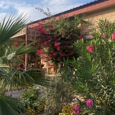 talal_7jr's profile picture. سبحان الله وبحمده سبحان الله العظيم