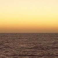 Norma (@norgonza16) 's Twitter Profile Photo