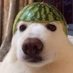 memes duvidosos (@trendsdobr) Twitter profile photo memes duvidosos (@trendsdobr) Twitter profile photo