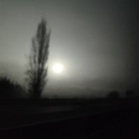 blaef22 (@blaef22) 's Twitter Profile
