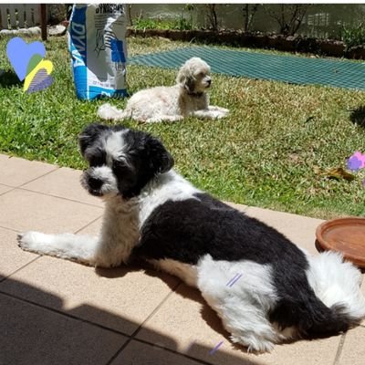 Nikki51773704's profile picture. Protect the animals, nature,  the children of the world, love them all & make a difference.