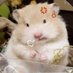 hana (@bok1eya) Twitter profile photo hana (@bok1eya) Twitter profile photo