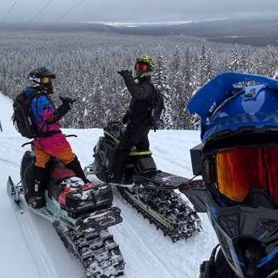 Pack_Attack96's profile picture. How much does a polar bear weigh?