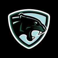 Peninsula Panthers (@panthersvijhl) 's Twitter Profile