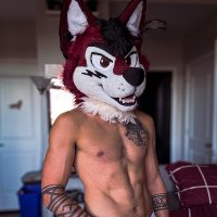 𝙀𝙯𝙤 (@wolf_ezo) 's Twitter Profile