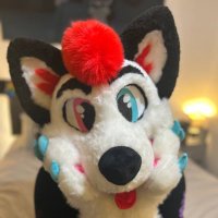 ADA π CFz (@dumbdogada) 's Twitter Profile