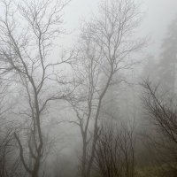 Mehmet Erikli (@mehmeterikli) Twitter profile photo