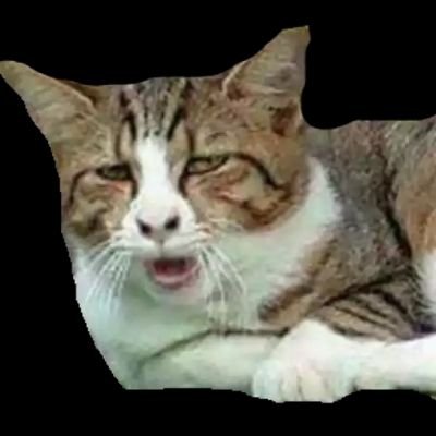 ZazindulM's profile picture. ..