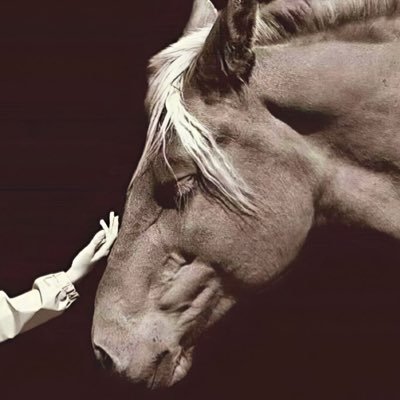 dalal_aljibren's profile picture. 2/8❤️