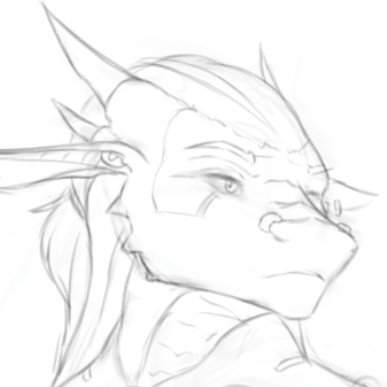 DragonNetStormさんのプロフィール画像