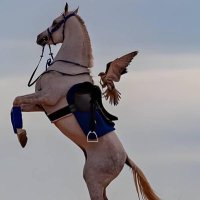 لله دره (@54_q8x) Twitter profile photo