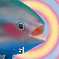 ๐ธ (@seokjinbit) 's Twitter Profile Photo ๐ธ (@seokjinbit) 's Twitter Profile Photo