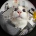 wesley (@wesleyuhm) Twitter profile photo wesley (@wesleyuhm) Twitter profile photo